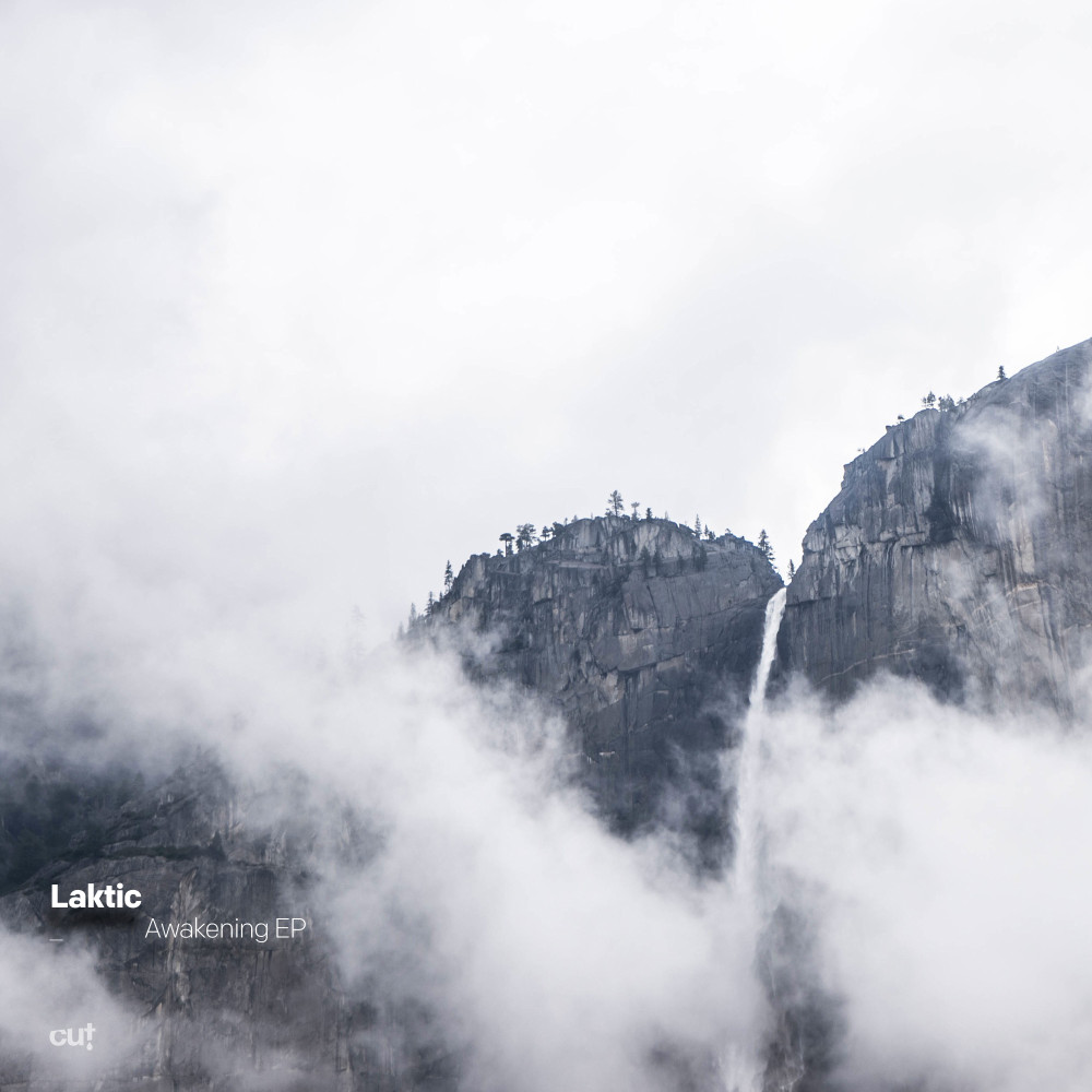 Two new joints from Cut Records (Laktic & Moduleset)